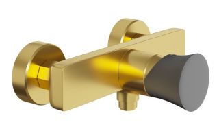 Смеситель для душа Paini Domus 18PJ511PZ матовое золото