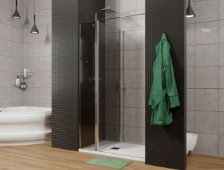 Душевая дверь Allen Brau Priority 3.31004.00G профиль хром