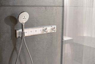 Душевая лейка Hansgrohe Raindance Select S 120 3jet 26530400