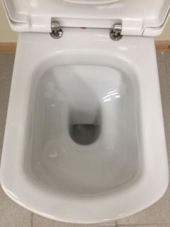 Унитаз Roca Dama Senso 342517000