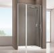 Душевая дверь Allen Brau Priority 100 3.31028.00 профиль Хром