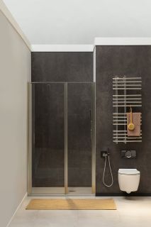 Душевая дверь Allen Brau Priority 90 3.31026.BA профиль Серебро браш