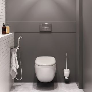 Унитаз подвесной  AM.PM Sensation  FlashClean FlashClean CK30H0904W белый