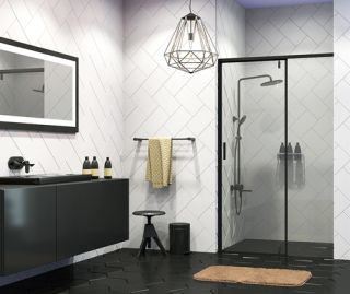 Душевая дверь Wasserkraft Elbe 74P05 120x200