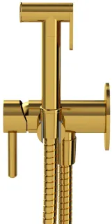 Гигиенический душ WHITECROSS 2-SYSYBI2GL золото