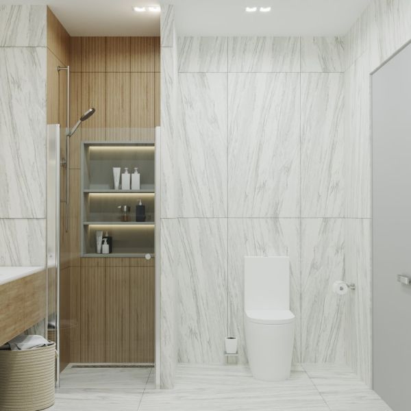 Душевая дверь Triton Уно Щ0000036860 70 см