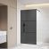 Душевая перегородка RGW WA-09B 06100910-34 100 см чёрный