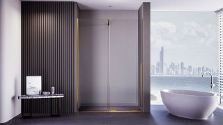 Душевая дверь Veconi Premium Trento PTDW-50G, 1300x2000, брашированное золото, стекло прозрачное