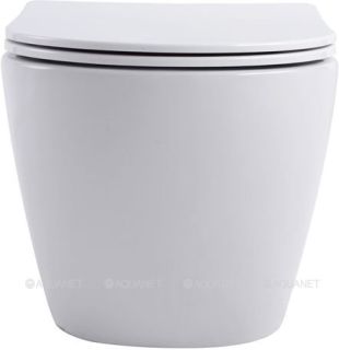 Унитаз подвесной Aquanet Rimless Cetus W Short LX-1900 249710 белый