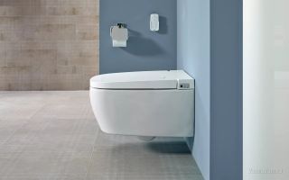 Унитаз Vitra V-Care 5674B003-6193 подвесной