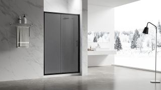 Душевая дверь Veconi Vianno VN-55BT, 1300x1950, Черный, стекло тонированное